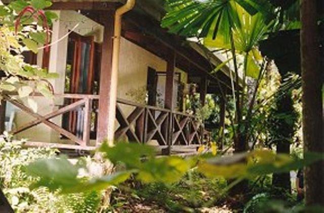 Daintree Deep Forest Lodge Cape Tribulation Exterior photo