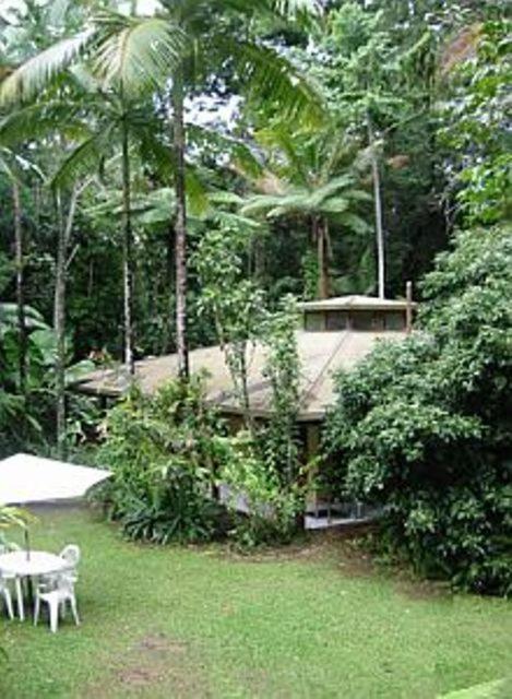 Daintree Deep Forest Lodge Cape Tribulation Exterior photo
