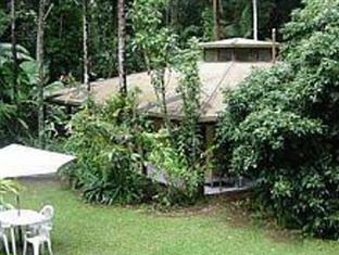 Daintree Deep Forest Lodge Cape Tribulation Exterior photo